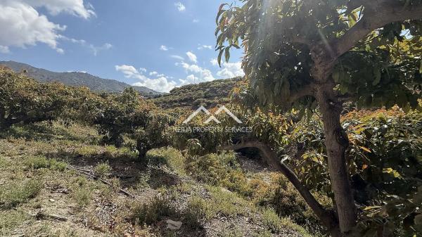 Terreno en Frigiliana thumbnail 2