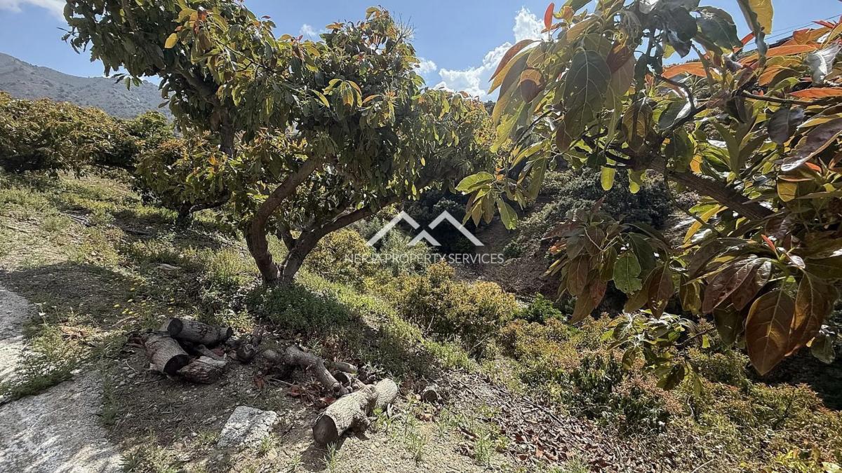Terreno en venta en Frigiliana, Malaga photo 4