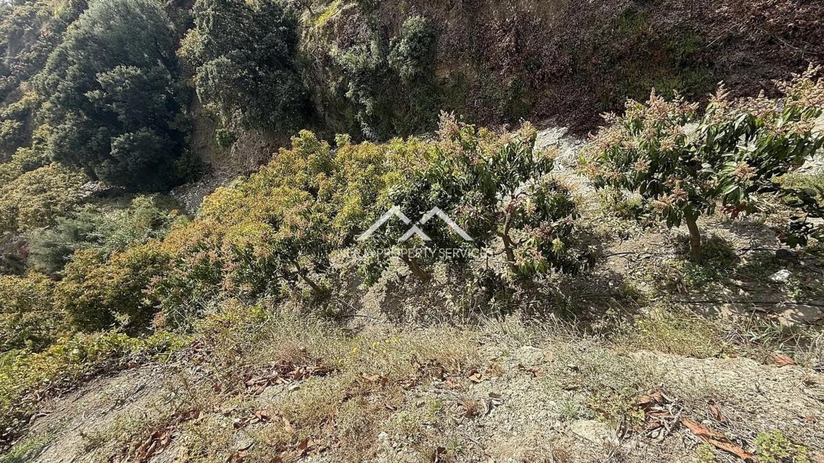 Terreno en venta en Frigiliana, Malaga photo 5