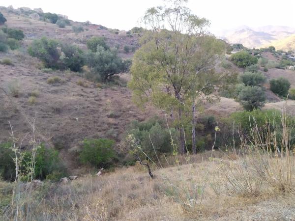 Terreno en camino Cerro Lanza, 1 thumbnail 1