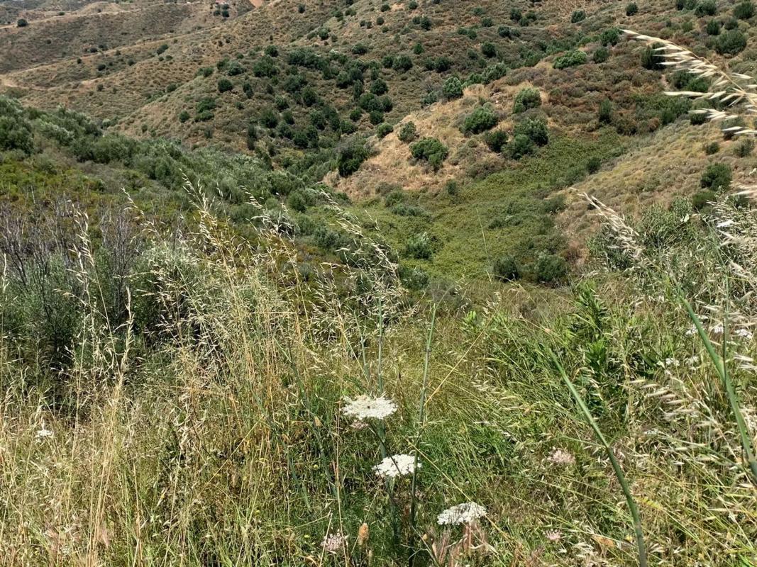 Terreno en venta en Marbella, Malaga photo 3
