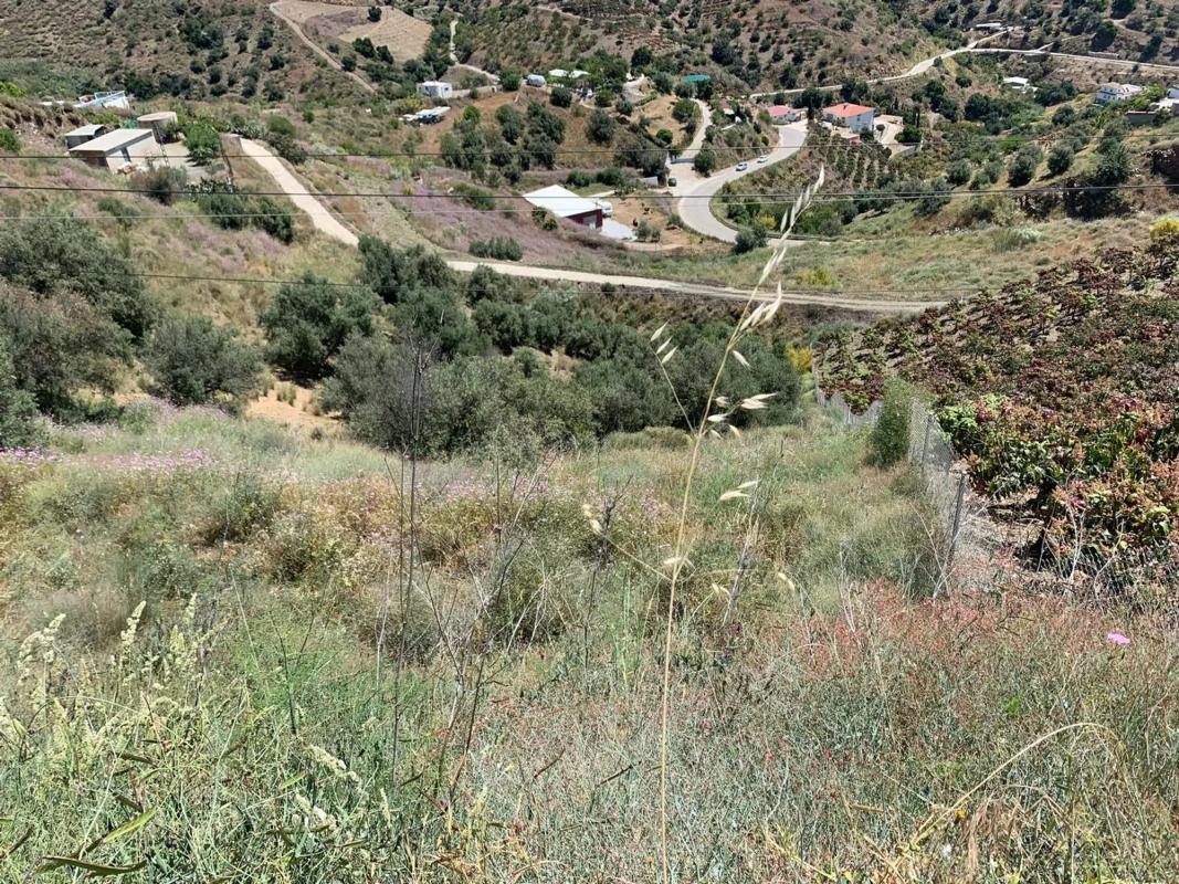 Terreno en venta en Vélez-Malaga, Malaga photo 1