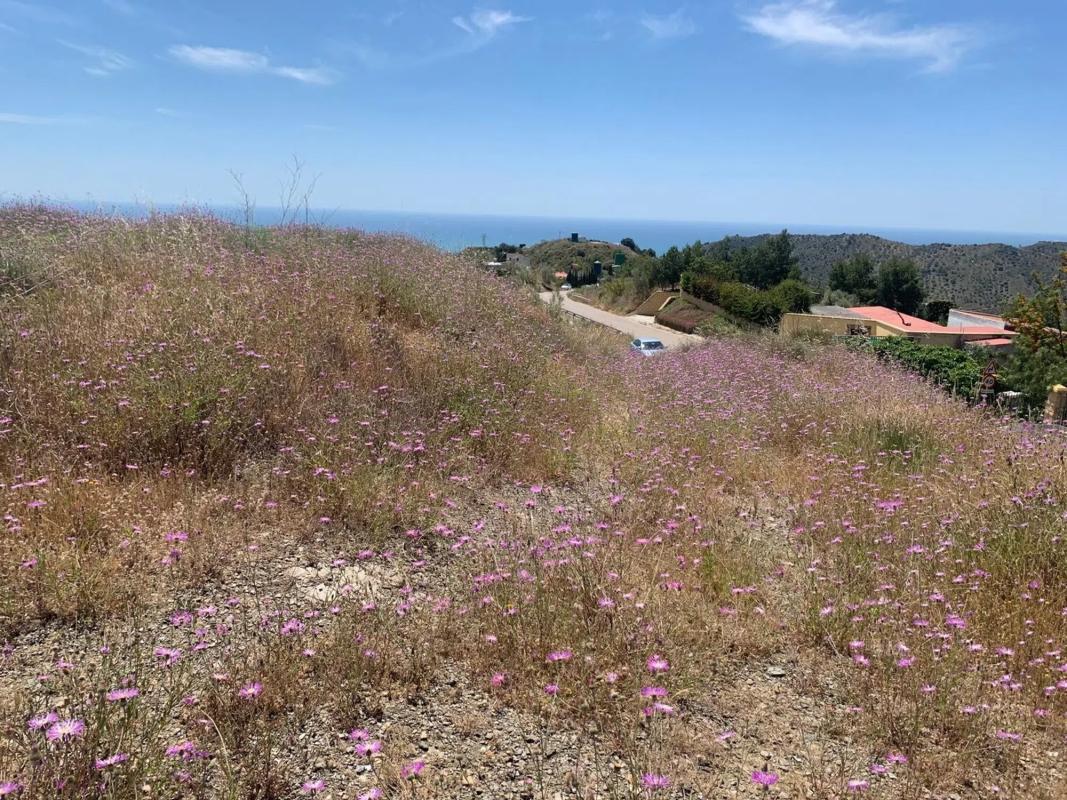Terreno en venta en Vélez-Malaga, Malaga photo 3