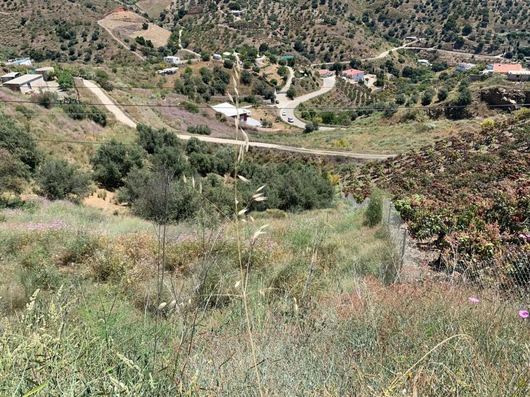 Terreno en venta en Vélez-Malaga, Malaga photo 5