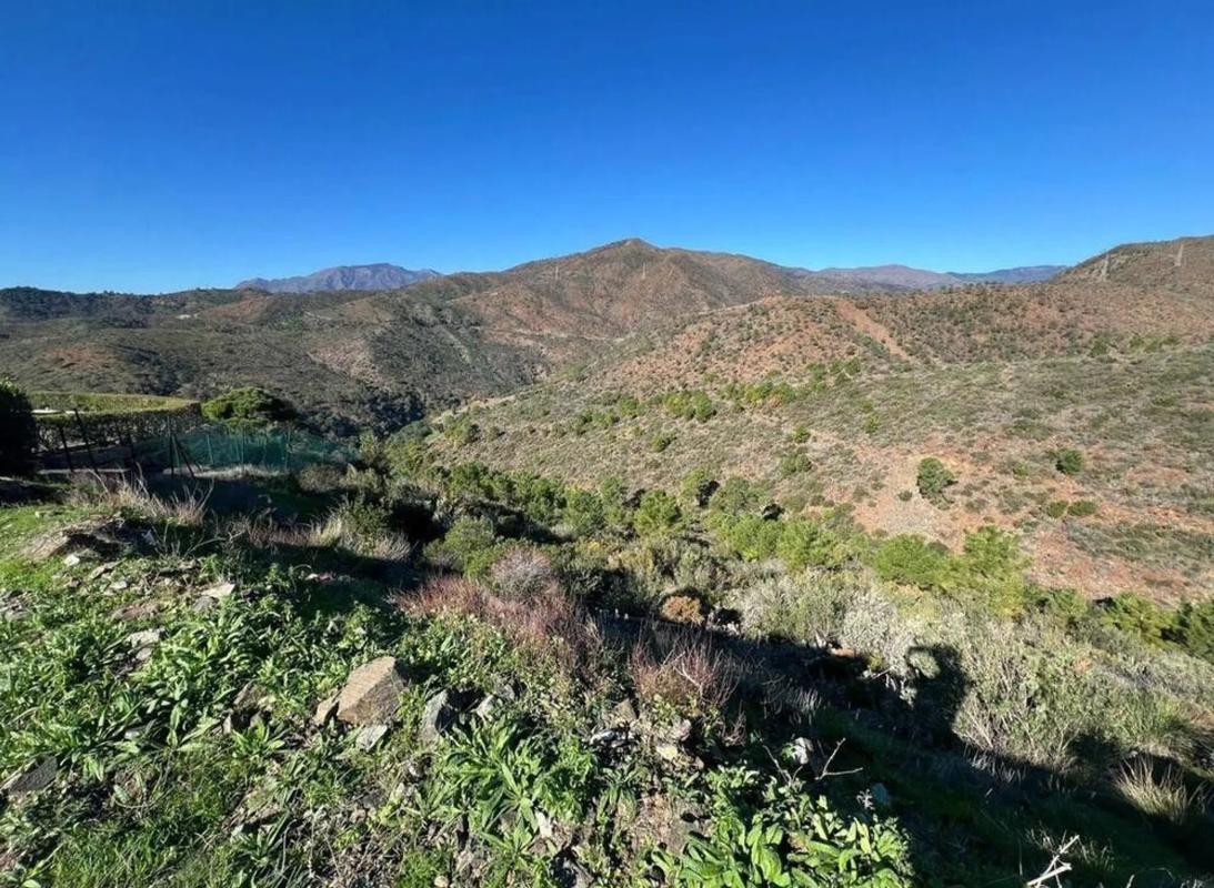 Terreno en venta en Benahavís, Malaga photo 1