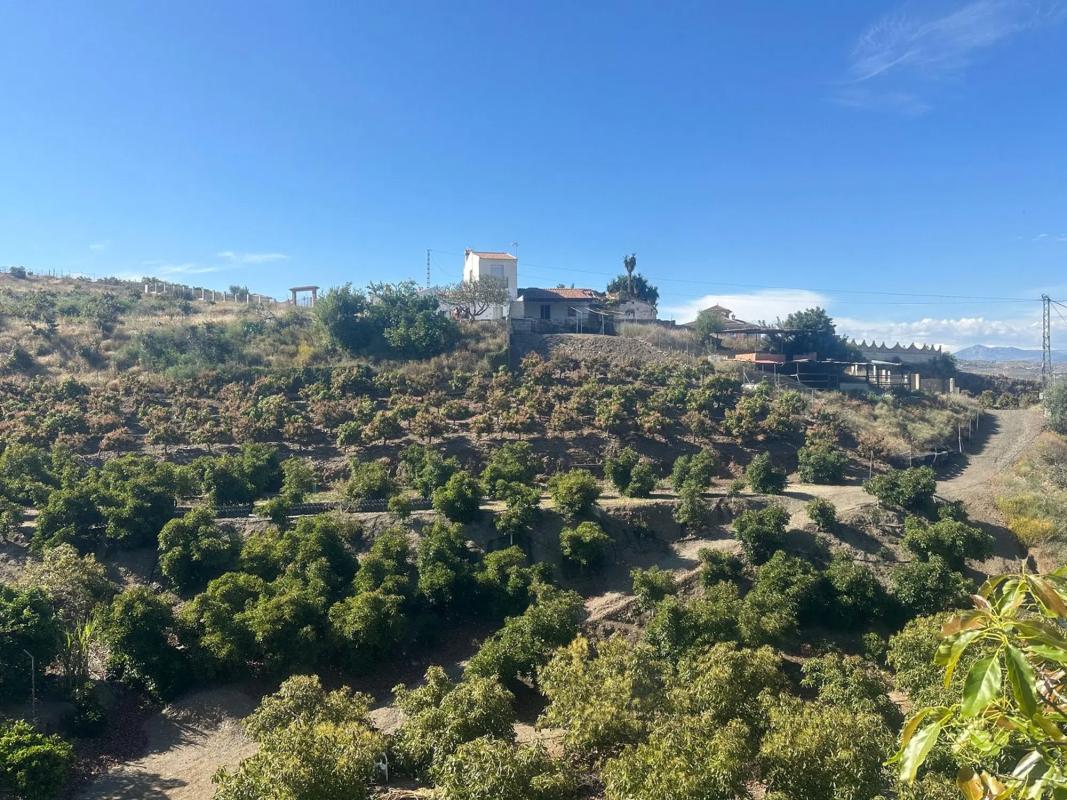 Terreno en venta en Benamocarra, Malaga photo 2
