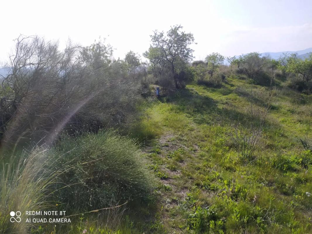 Działka na sprzedaż w Cártama, Malaga photo 2