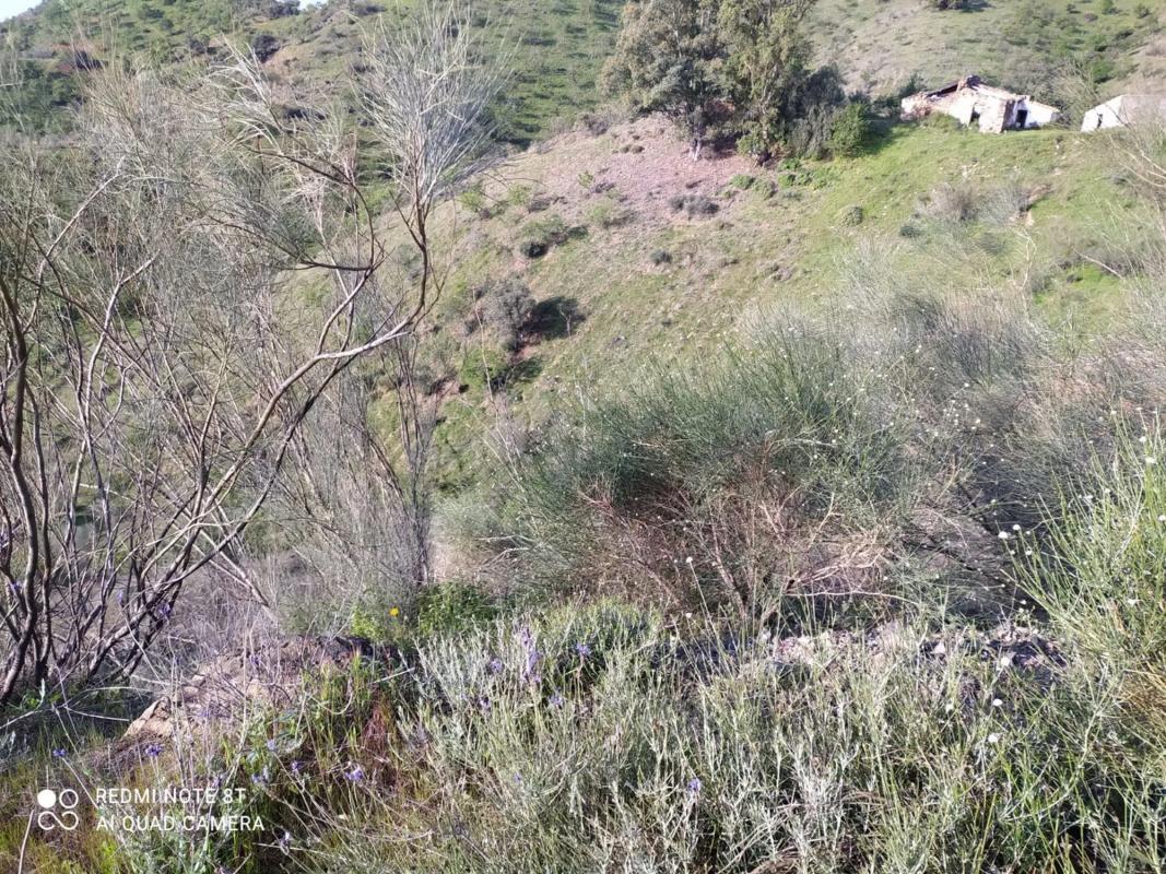 Działka na sprzedaż w Cártama, Malaga photo 3