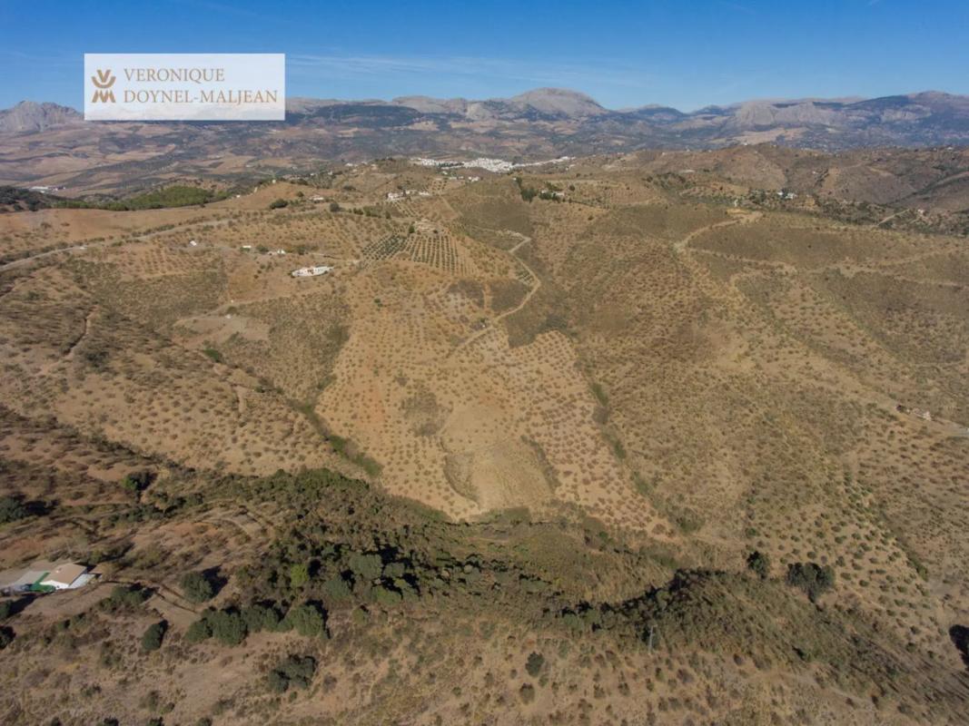 Land for sale in Colmenar, Malaga photo 4