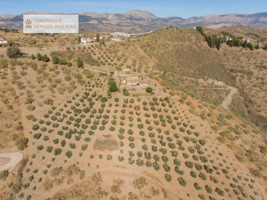 Land for sale in Colmenar, Malaga photo 5