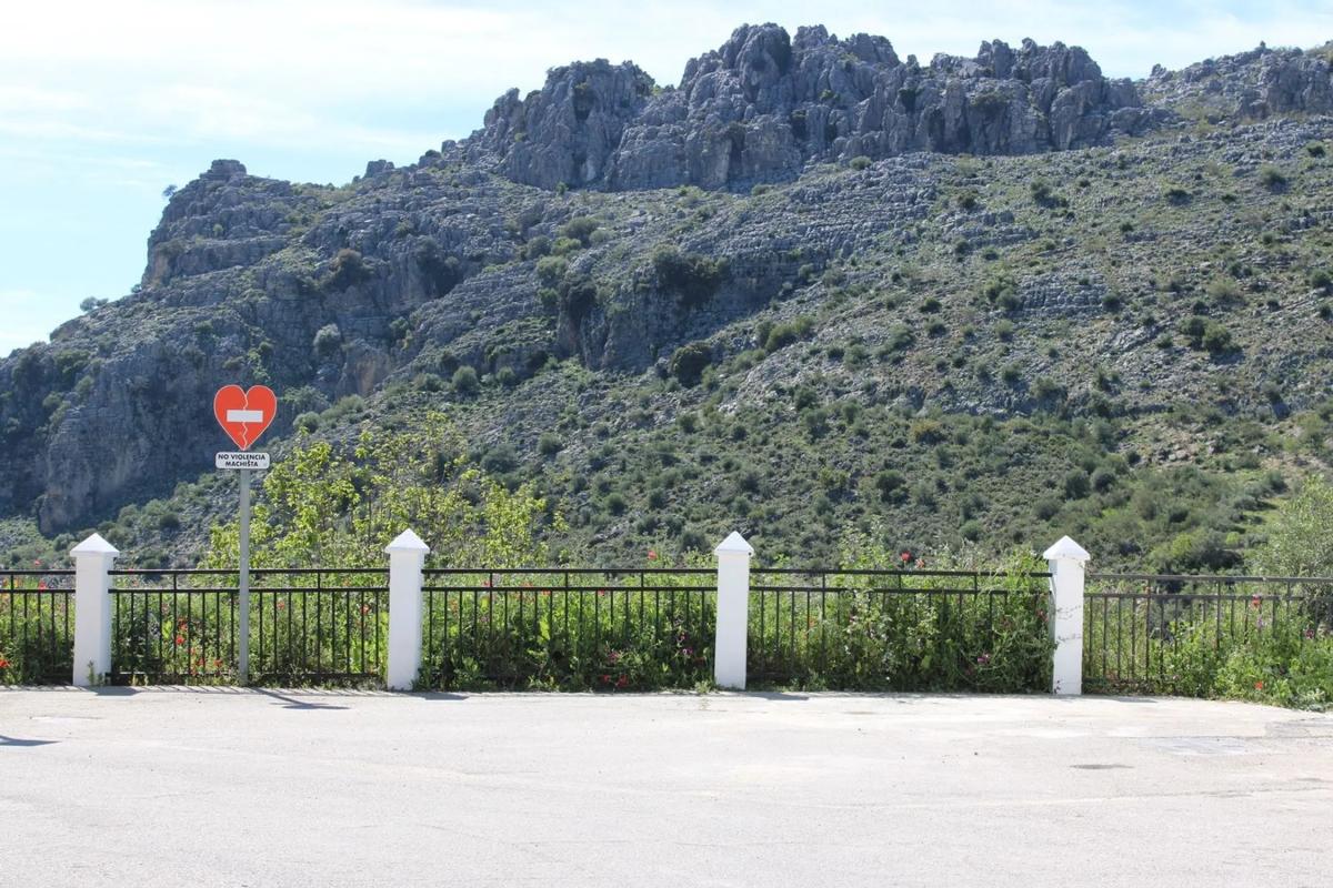 Land for sale in Cartajima, Malaga photo 2