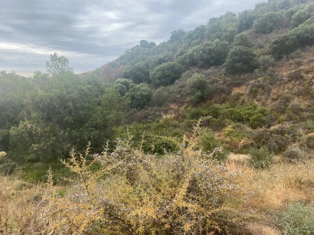 Terreno en venta en Mijas, Malaga photo 5