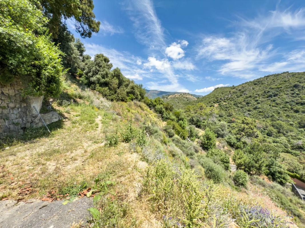 Terreno en venta en Benahavís, Malaga photo 5