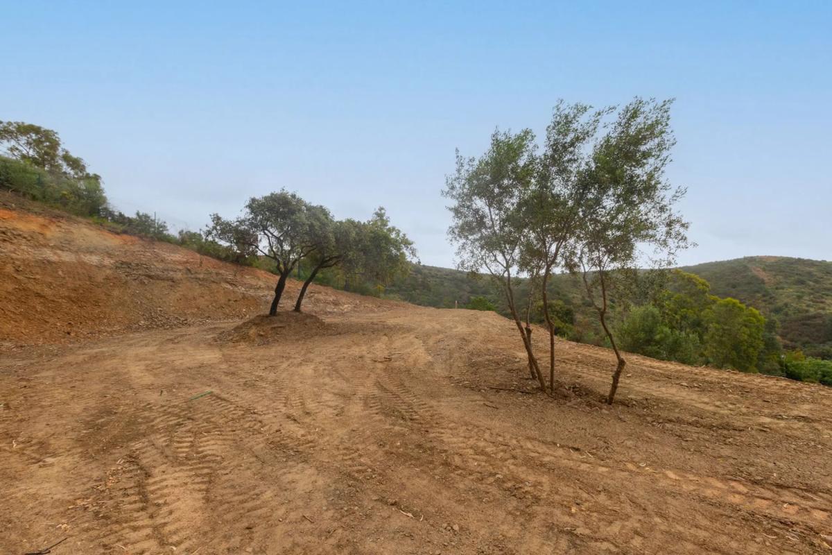 Terreno en venta en Estepona, Malaga photo 4