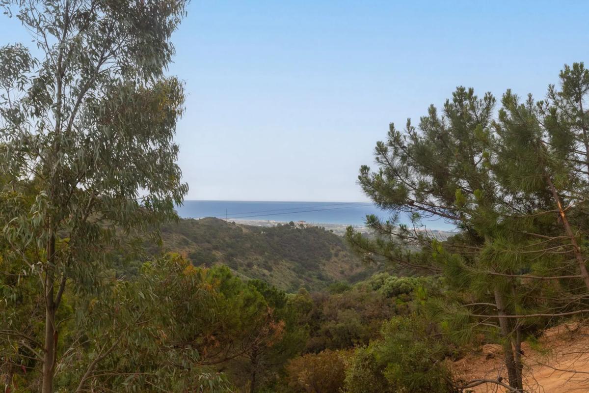 Terreno en venta en Estepona, Malaga photo 5