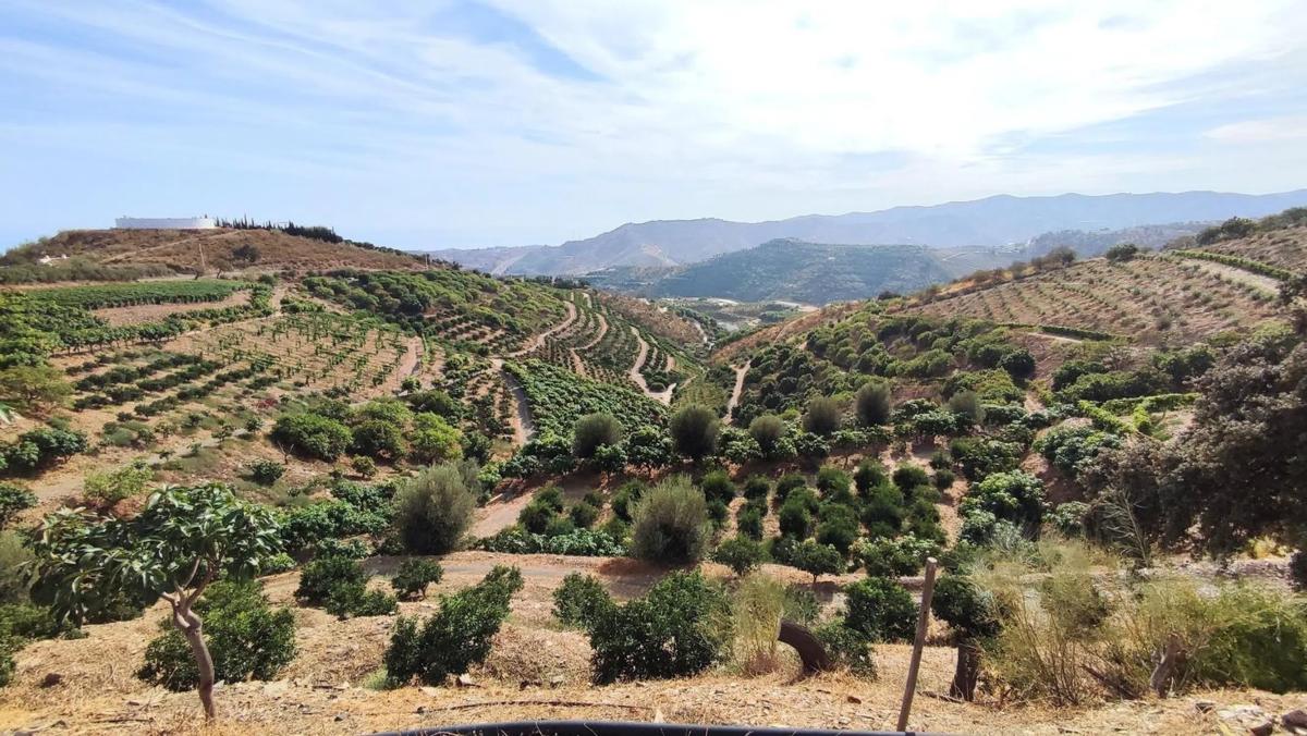 Terreno en venta en Vélez-Malaga, Malaga photo 5