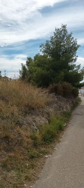 Terreno en venta en Frigiliana, Malaga photo 3