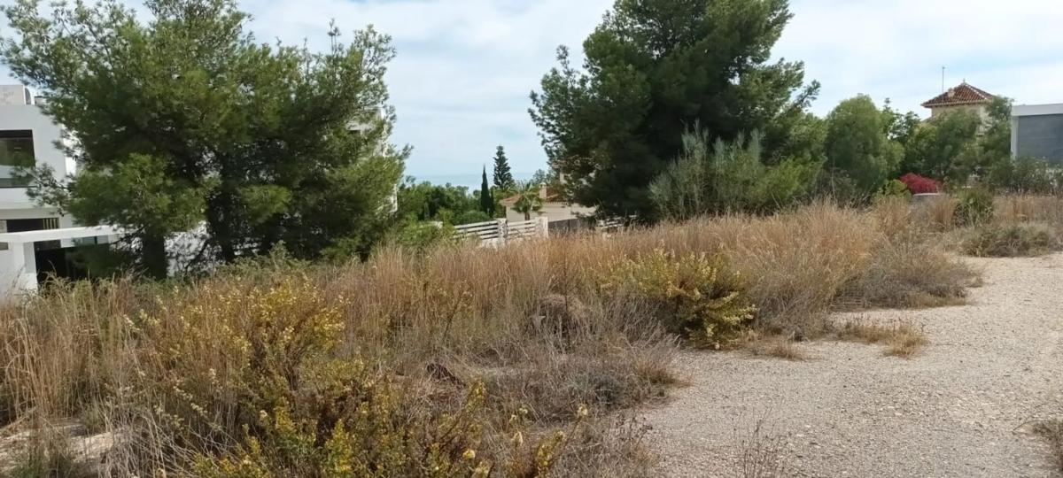 Terreno en venta en Frigiliana, Malaga photo 5