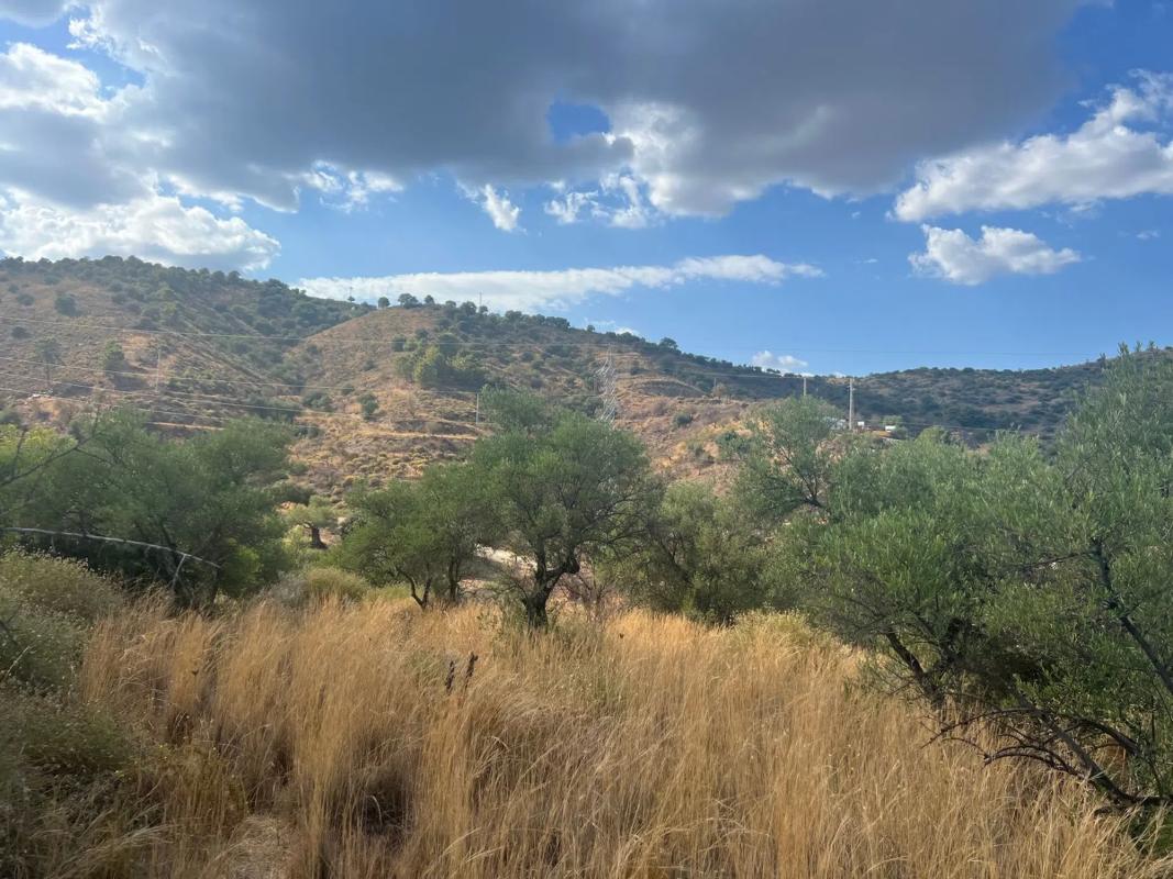 Działka na sprzedaż w Monda, Malaga photo 2