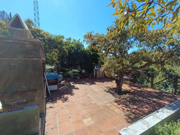 Terreno en Paraje Almachares, 60 photo 1