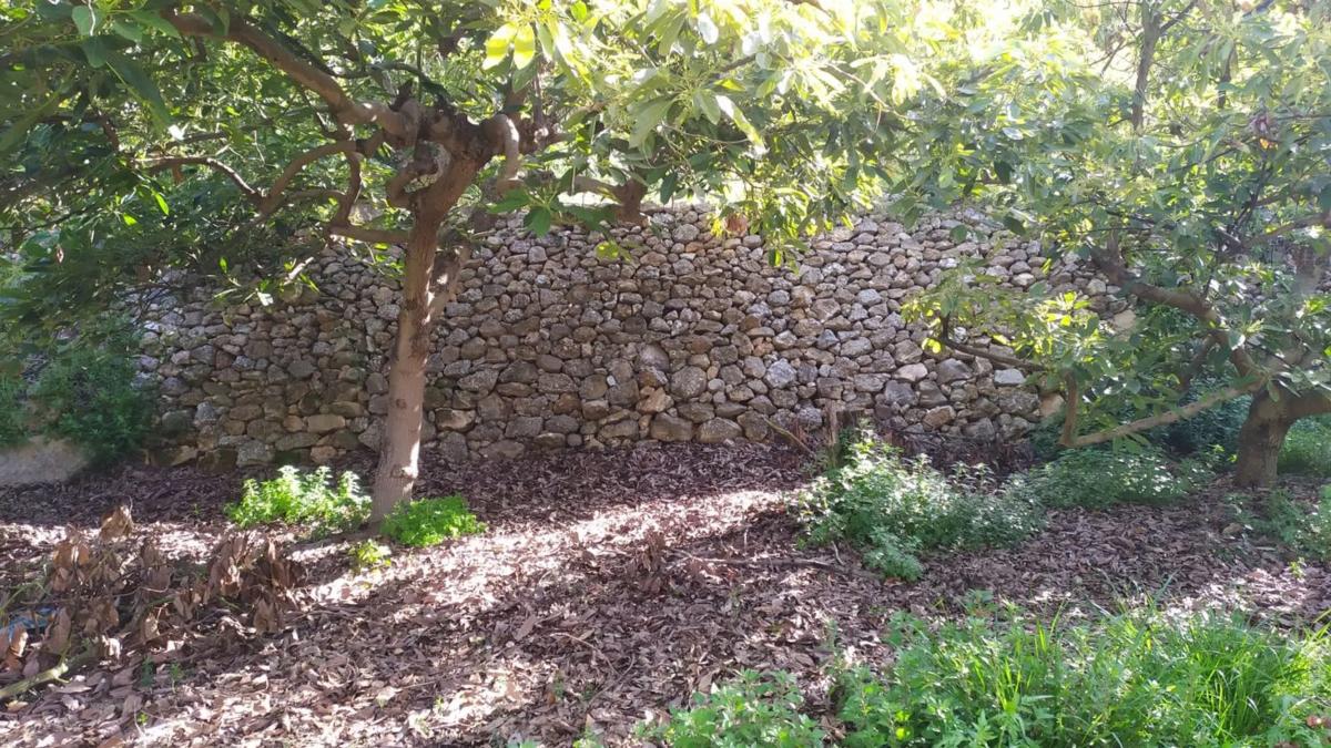 Terreno en venta en Frigiliana, Malaga photo 4