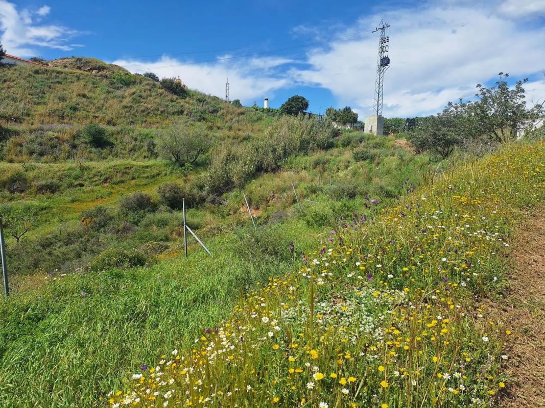 Terreno en venta en Mijas, Malaga photo 5