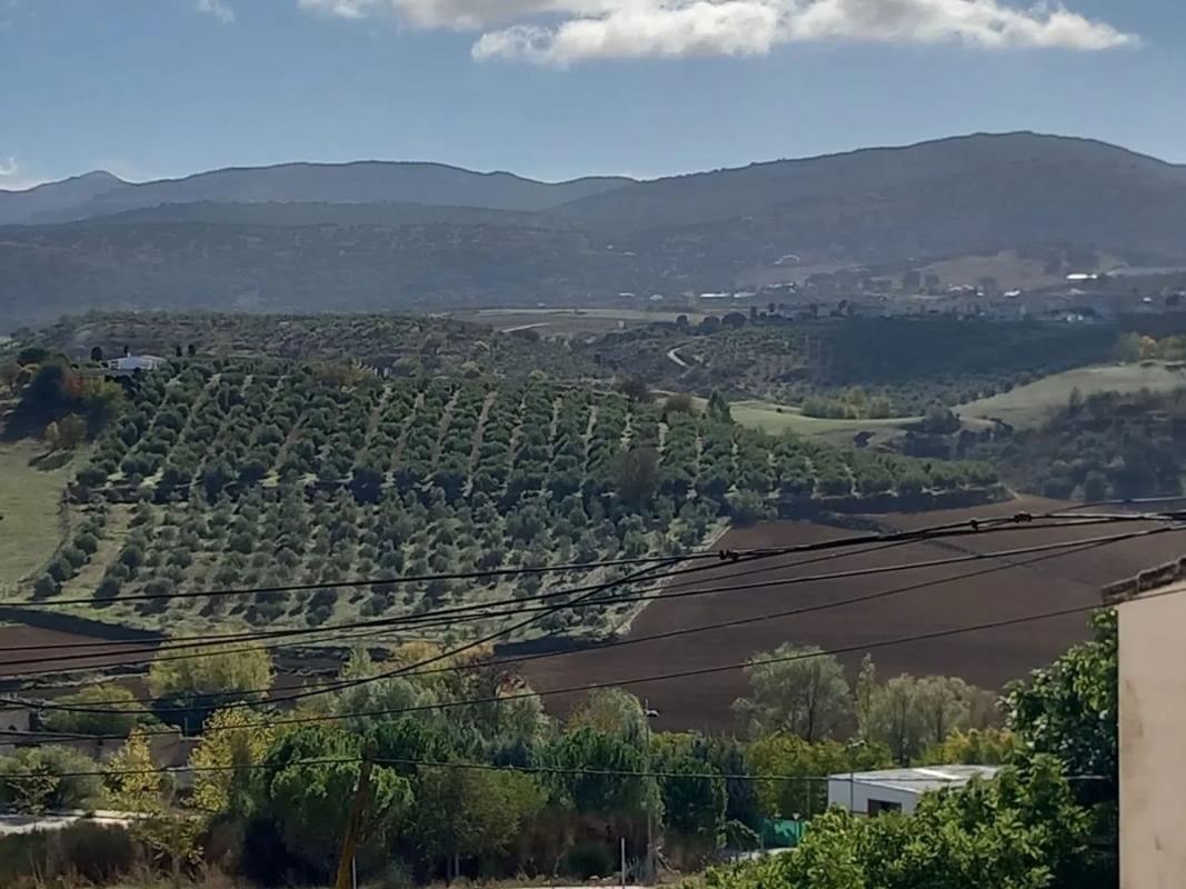 Terreno en venta en Ronda, Malaga photo 4