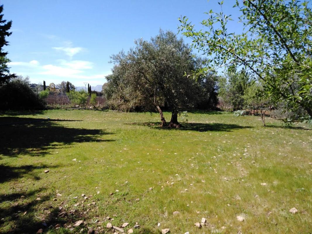 Działka na sprzedaż w Ronda, Malaga photo 4