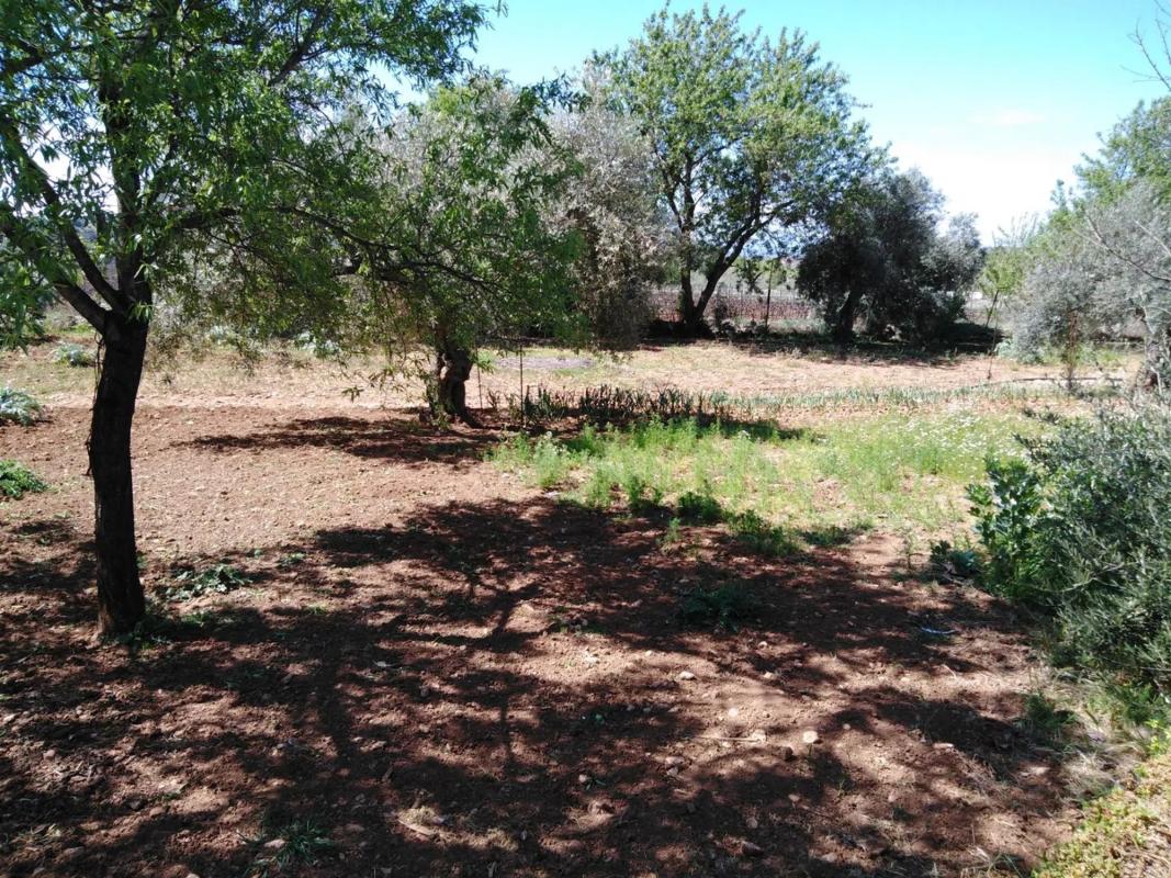 Działka na sprzedaż w Ronda, Malaga photo 5