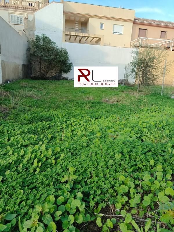 Land for sale in Cártama, Malaga photo 1