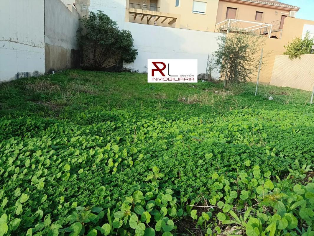 Land for sale in Cártama, Malaga photo 4