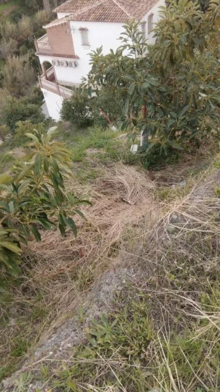 Działka na sprzedaż w Canillas de Aceituno, Malaga photo 2