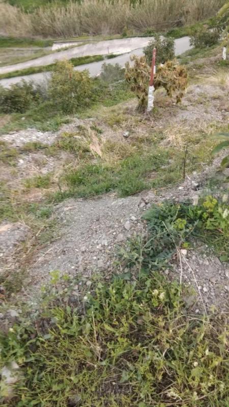 Działka na sprzedaż w Canillas de Aceituno, Malaga photo 3