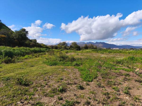 Terreno en avenida Puerto de los Gatos de Cortijo Colorado s/n photo 1