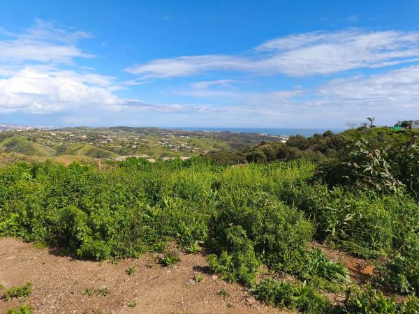 Terreno en avenida Puerto de los Gatos de Cortijo Colorado s/n thumbnail 1