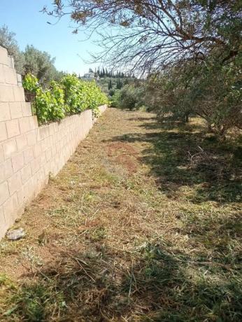 Terreno en Buenavista-Lauro Golf photo 1