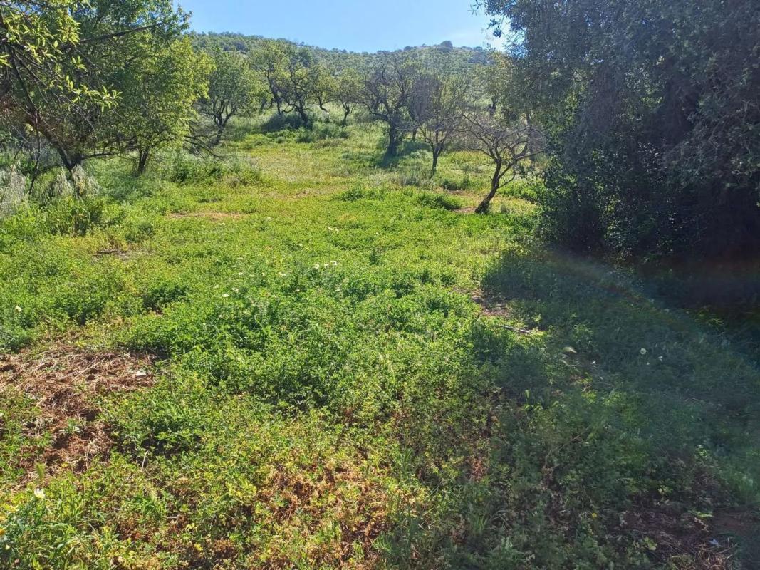 Land for sale in Málaga, Malaga photo 5