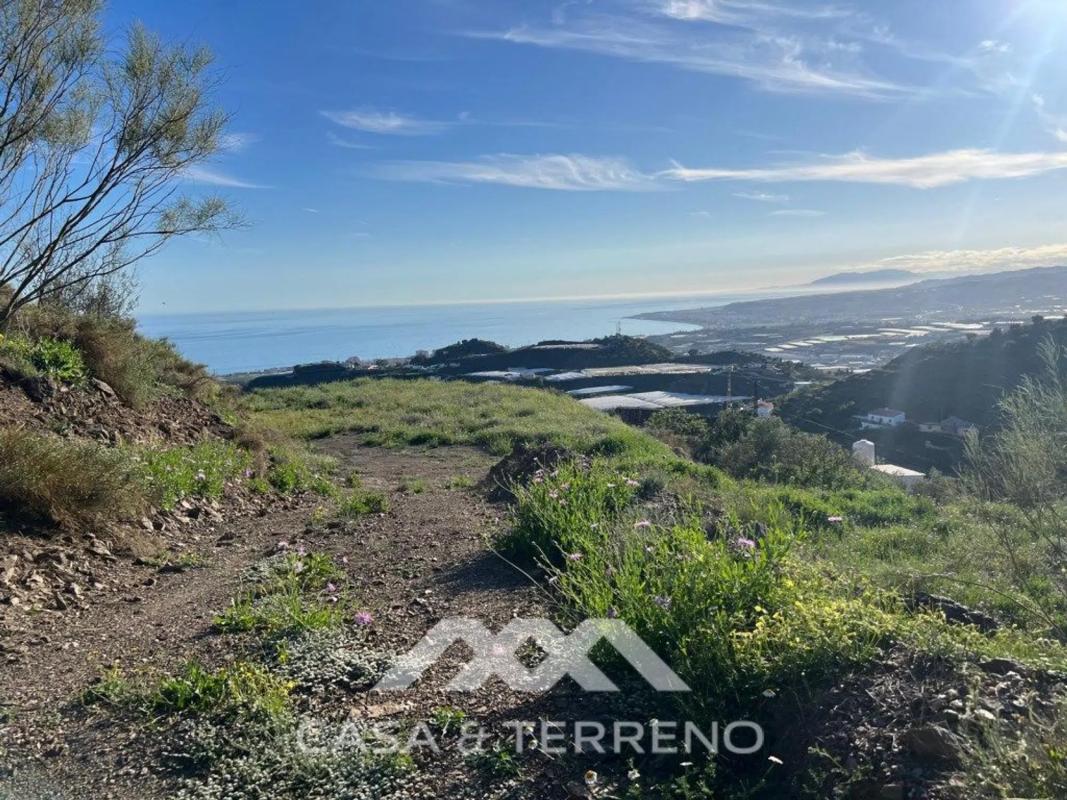 Land for sale in Algarrobo, Malaga photo 1