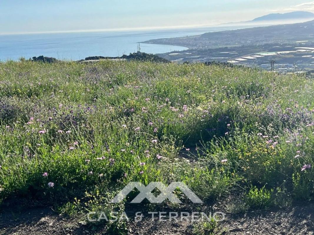 Land for sale in Algarrobo, Malaga photo 4
