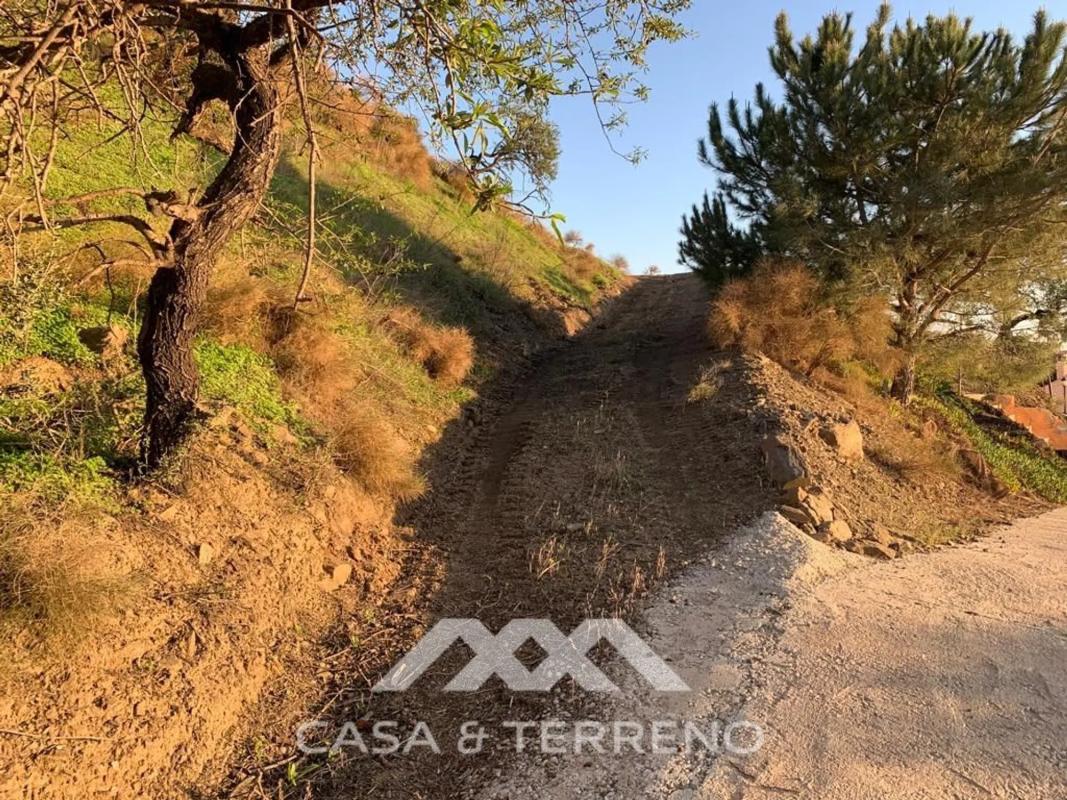 Land for sale in Algarrobo, Malaga photo 5