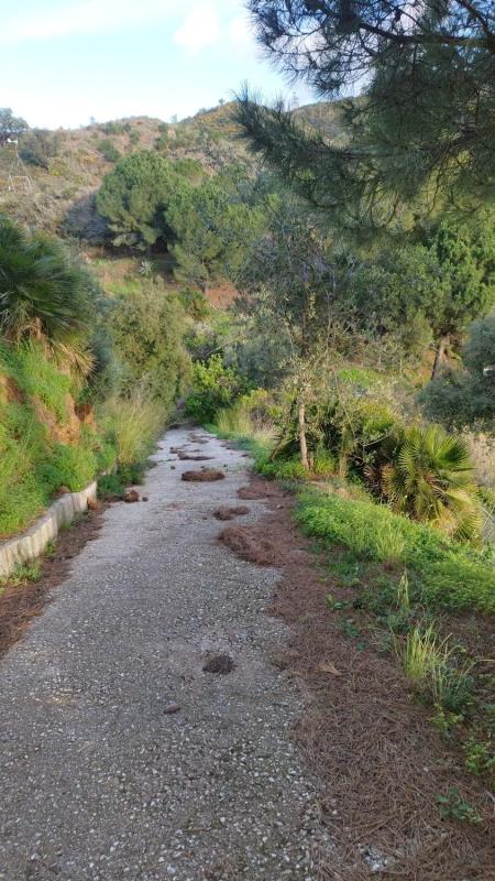 Land for sale in Ojén, Malaga photo 1