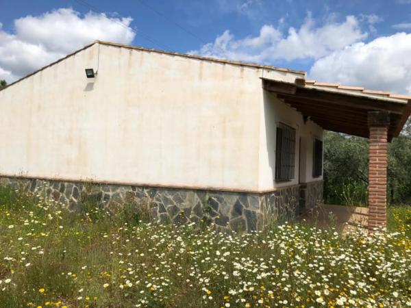 Terreno en Alora photo 1