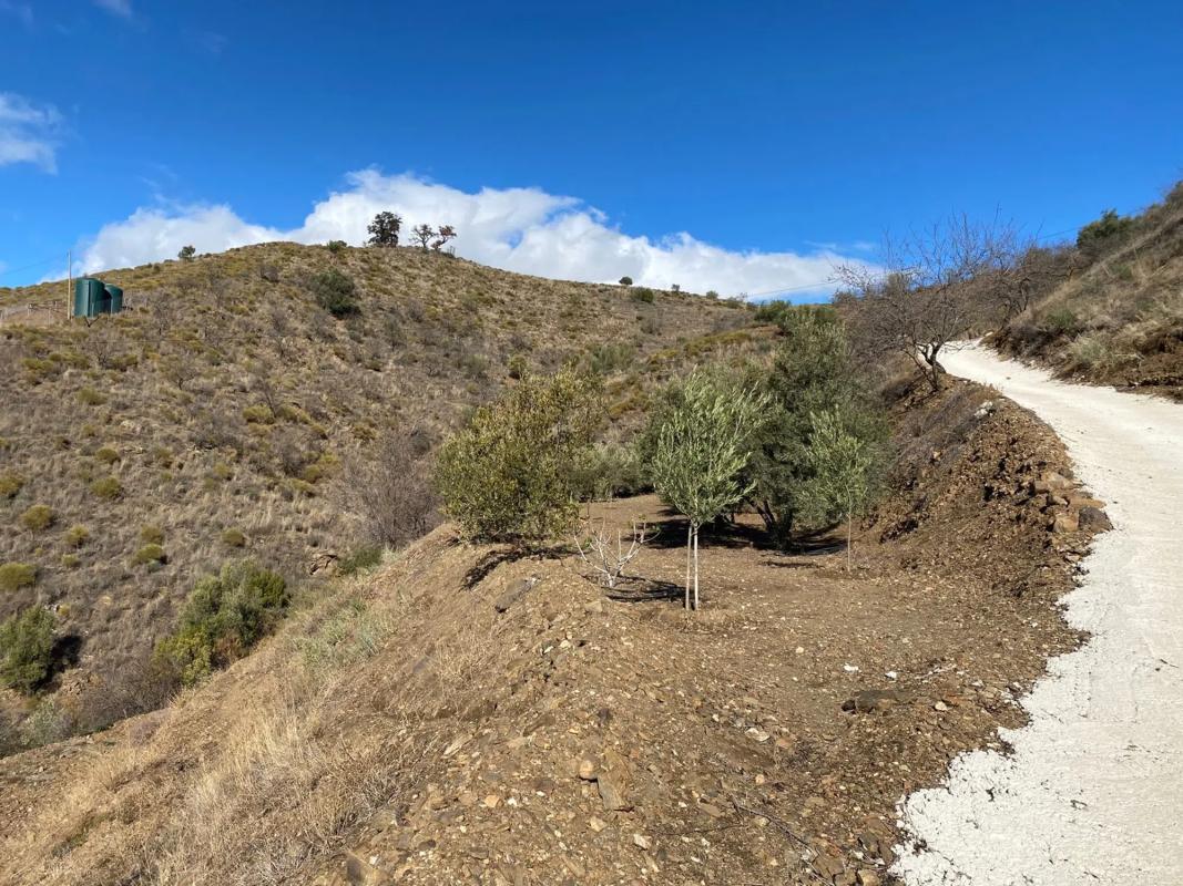 Land for sale in Vélez-Málaga, Malaga photo 2