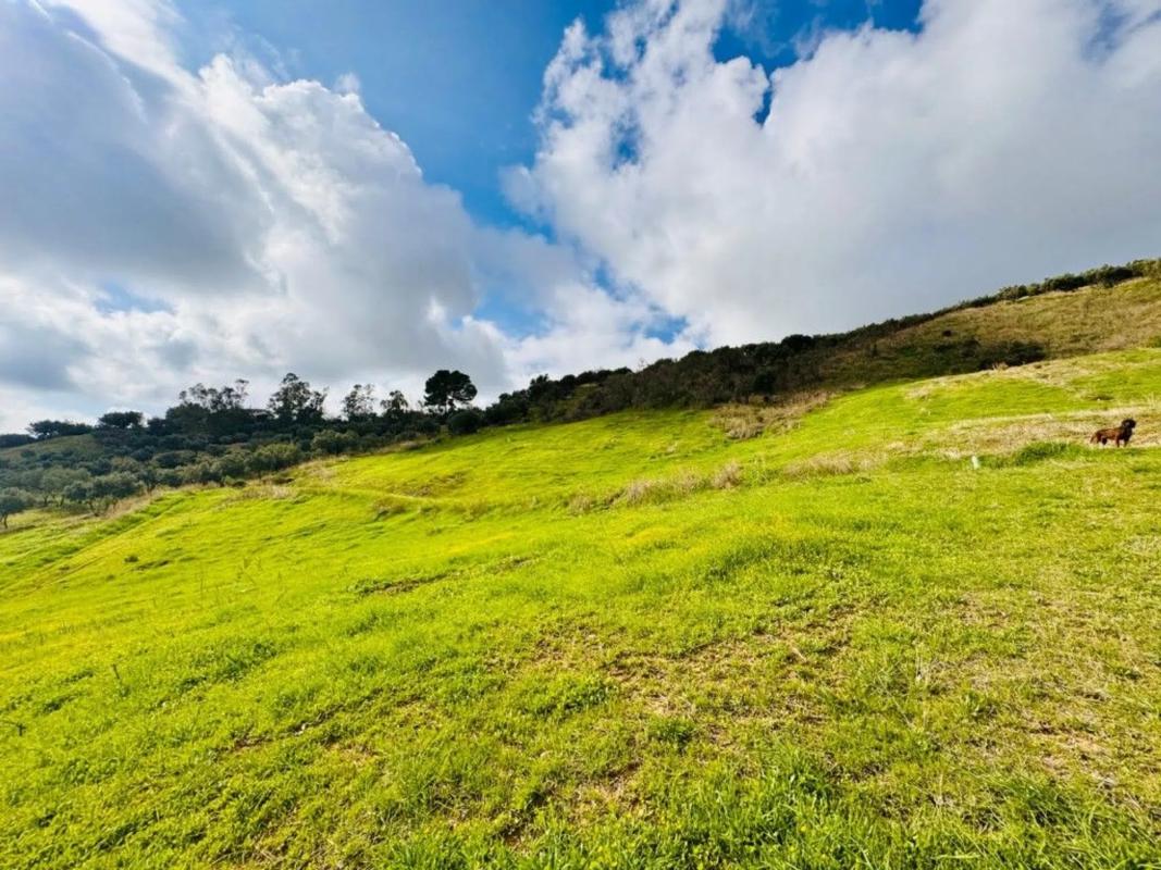 Terreno en venta en Periana, Malaga photo 2