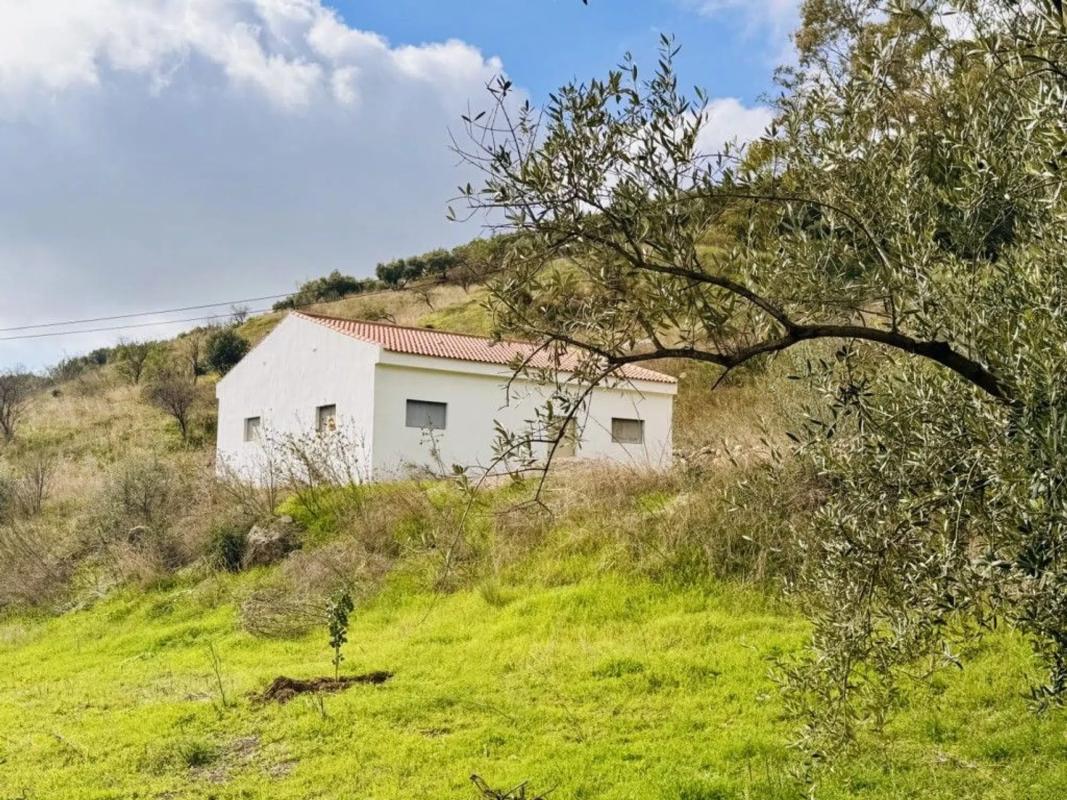 Terreno en venta en Periana, Malaga photo 3