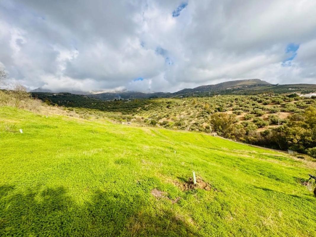 Terreno en venta en Periana, Malaga photo 4