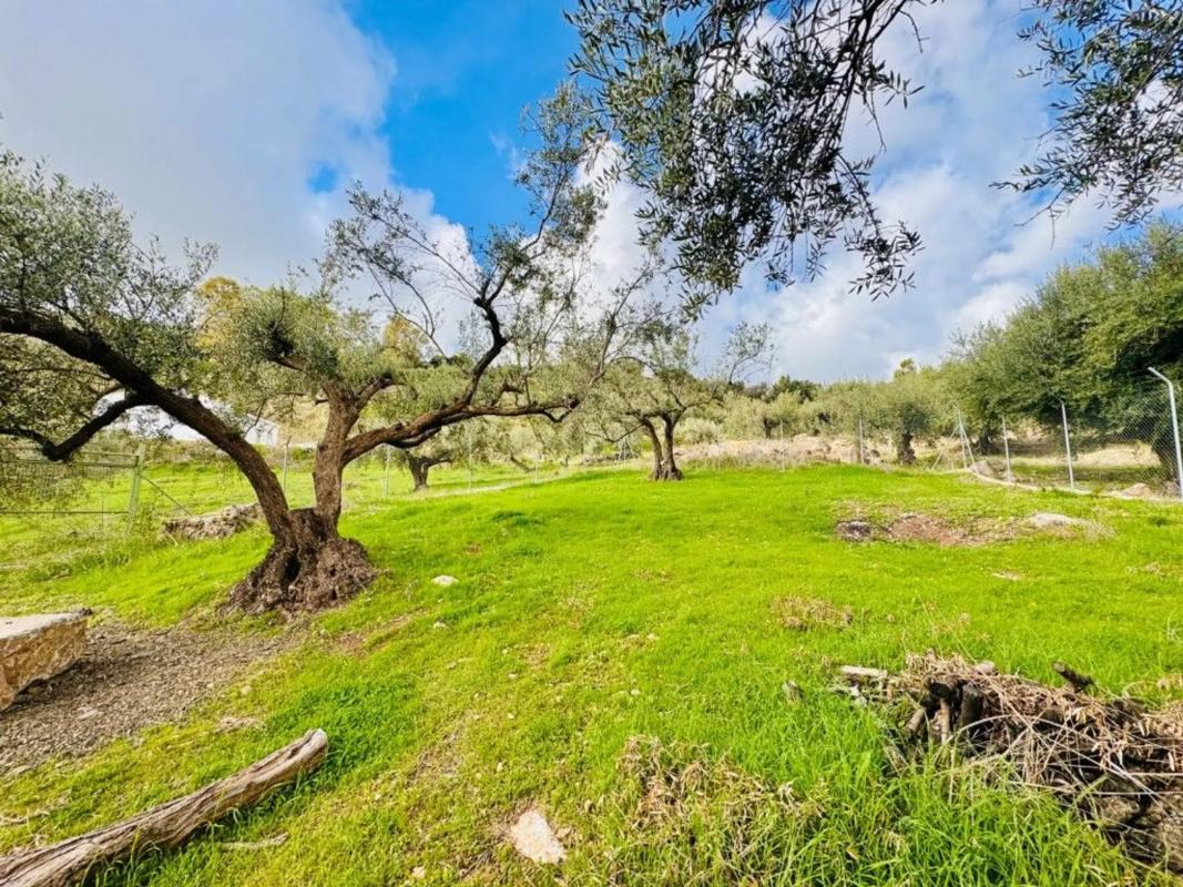 Terreno en venta en Periana, Malaga photo 5