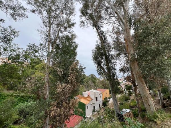 Terreno en Barrio Olletas - Sierra Blanquilla thumbnail 2