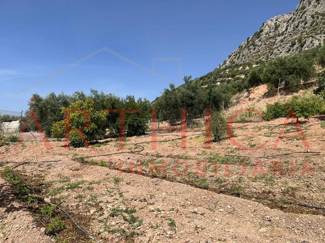 Terreno en venta en Valle de Abdalajís, Malaga photo 4