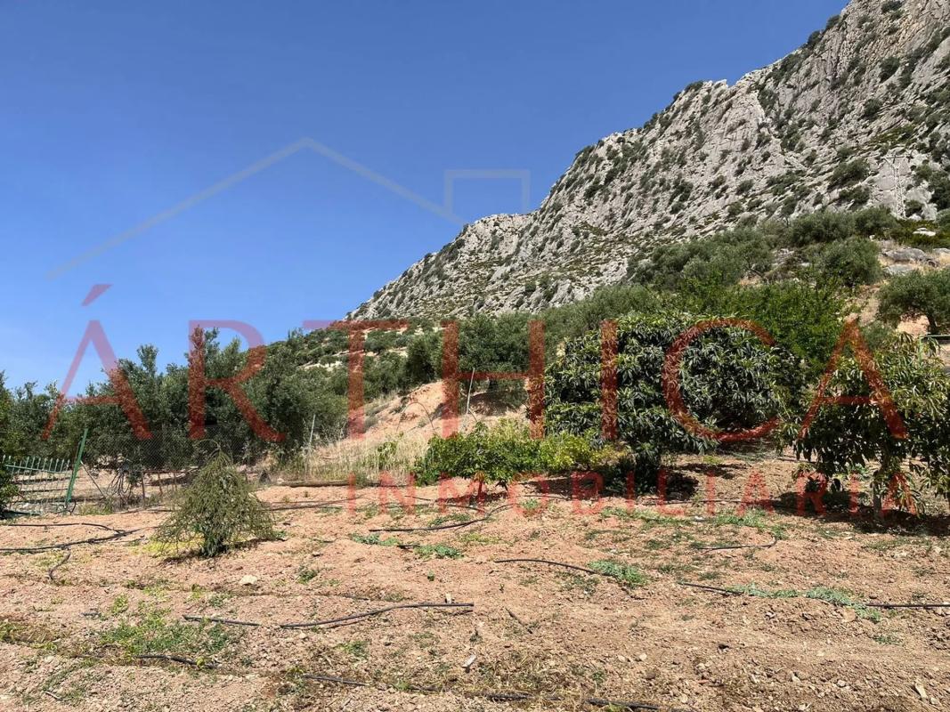 Terreno en venta en Valle de Abdalajís, Malaga photo 5